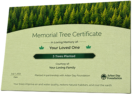 Plant Trees in Memory of Mr. Maurice L. East Jr.